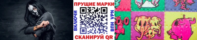 закладки  Западная Двина  Марки N-bome 1,5мг 