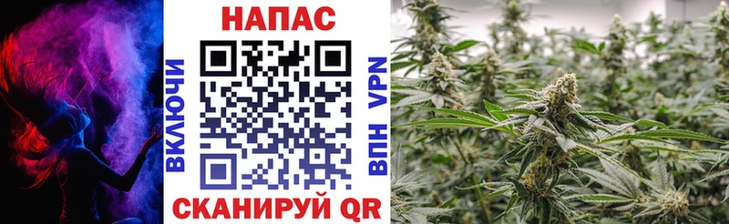 МАРИХУАНА ГИДРОПОН  продажа наркотиков  Западная Двина 